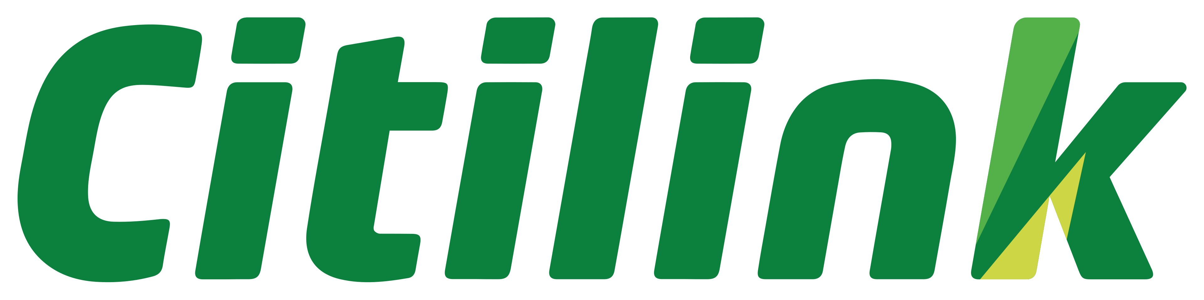 Citilink Cargo Partner